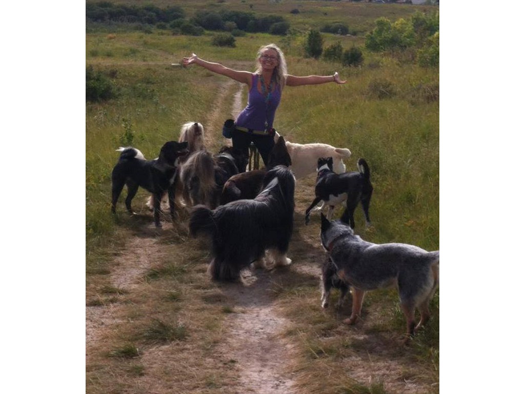 Me and my pack enjoying a nice summer day