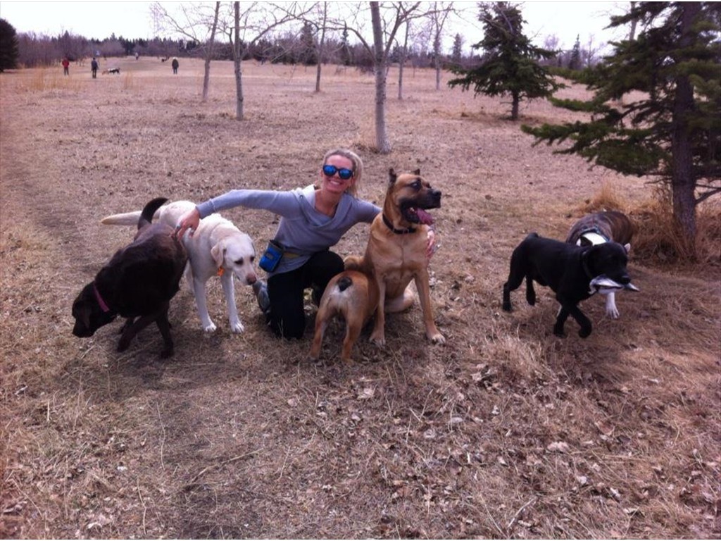 Me and the pack enjoying a fall day