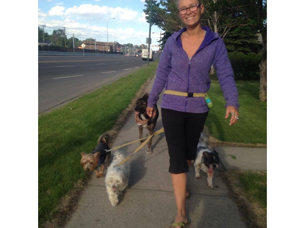 Me leash walking a few small pups around the neighbourhood